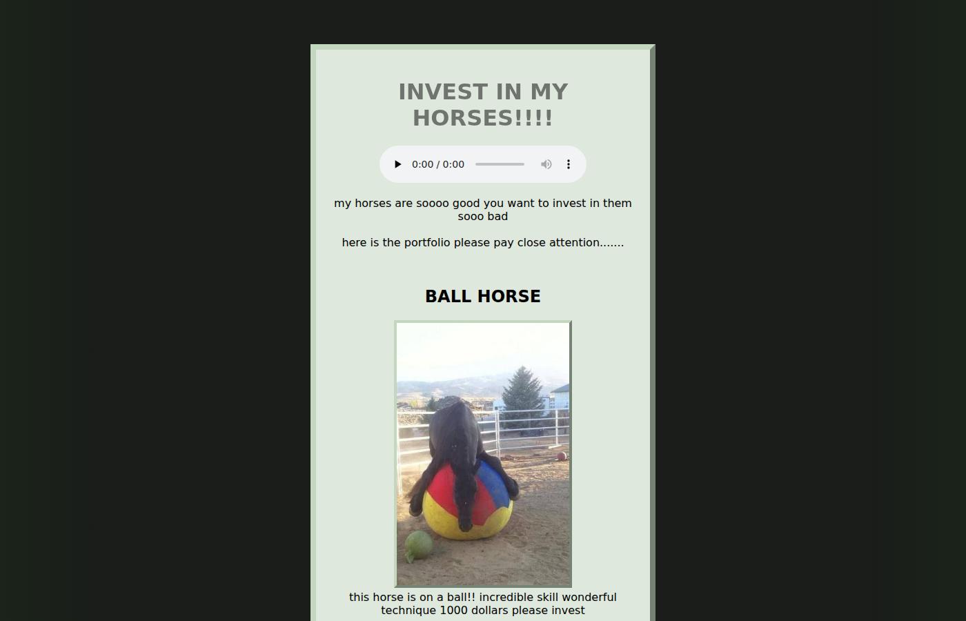 horse.investments