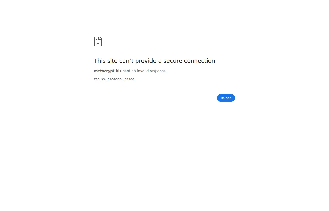 metacrypt.biz review
