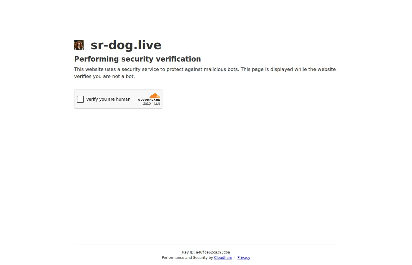 sr-dog.live review