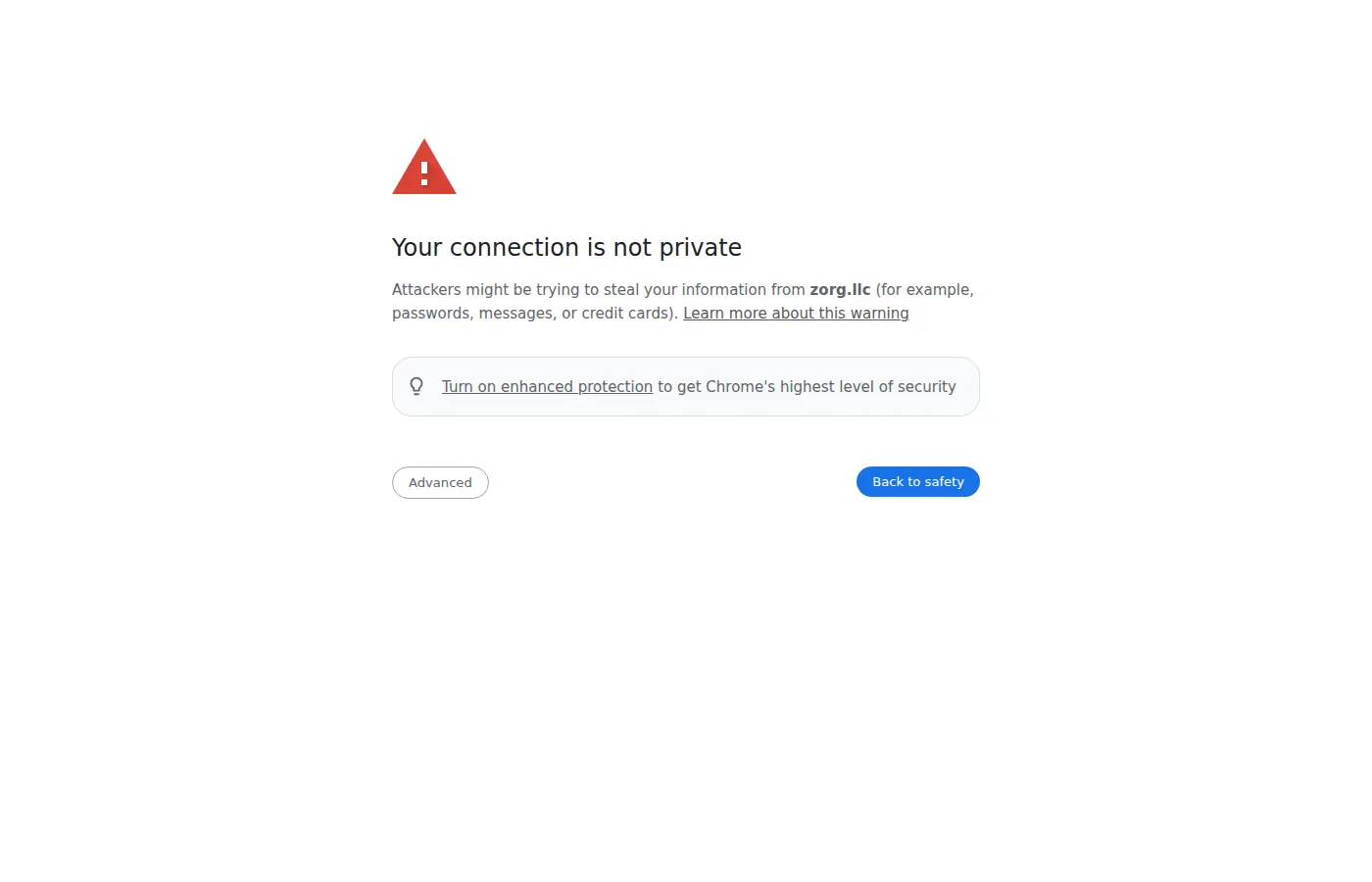 zorg.llc review